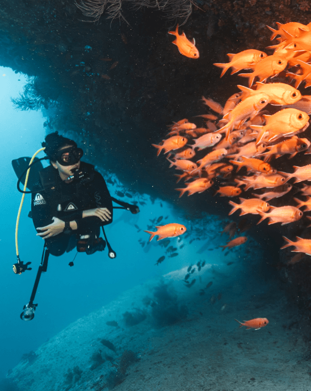OPEN WATER