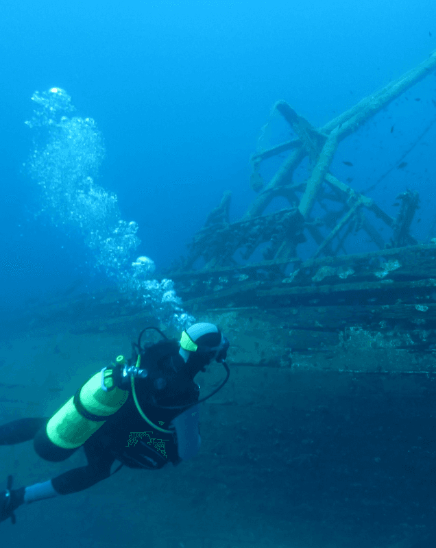 SPECIALITY DIVES