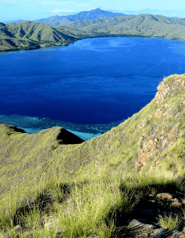 KOMODO, INDONESIA