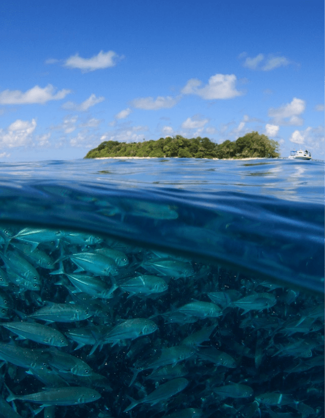 SIPADAN, MALAYSIA